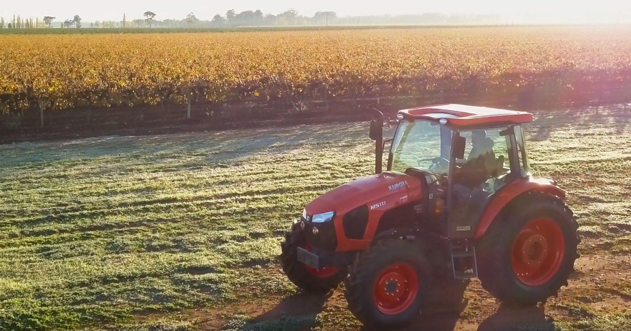 Tractor works in field 