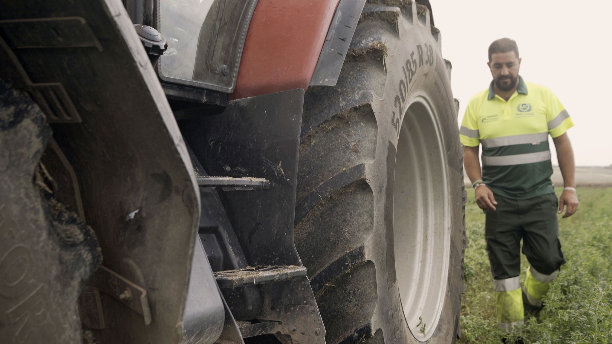 Mora with Tractor tire