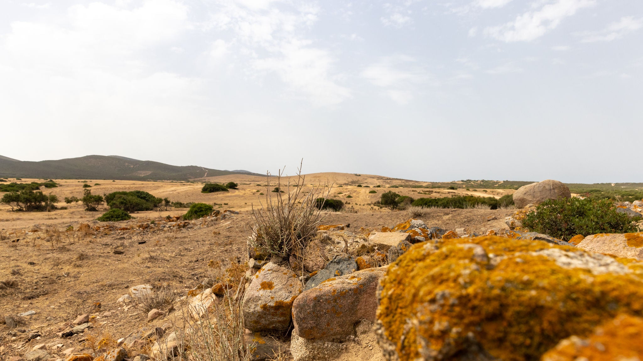 Coast of Sardinia