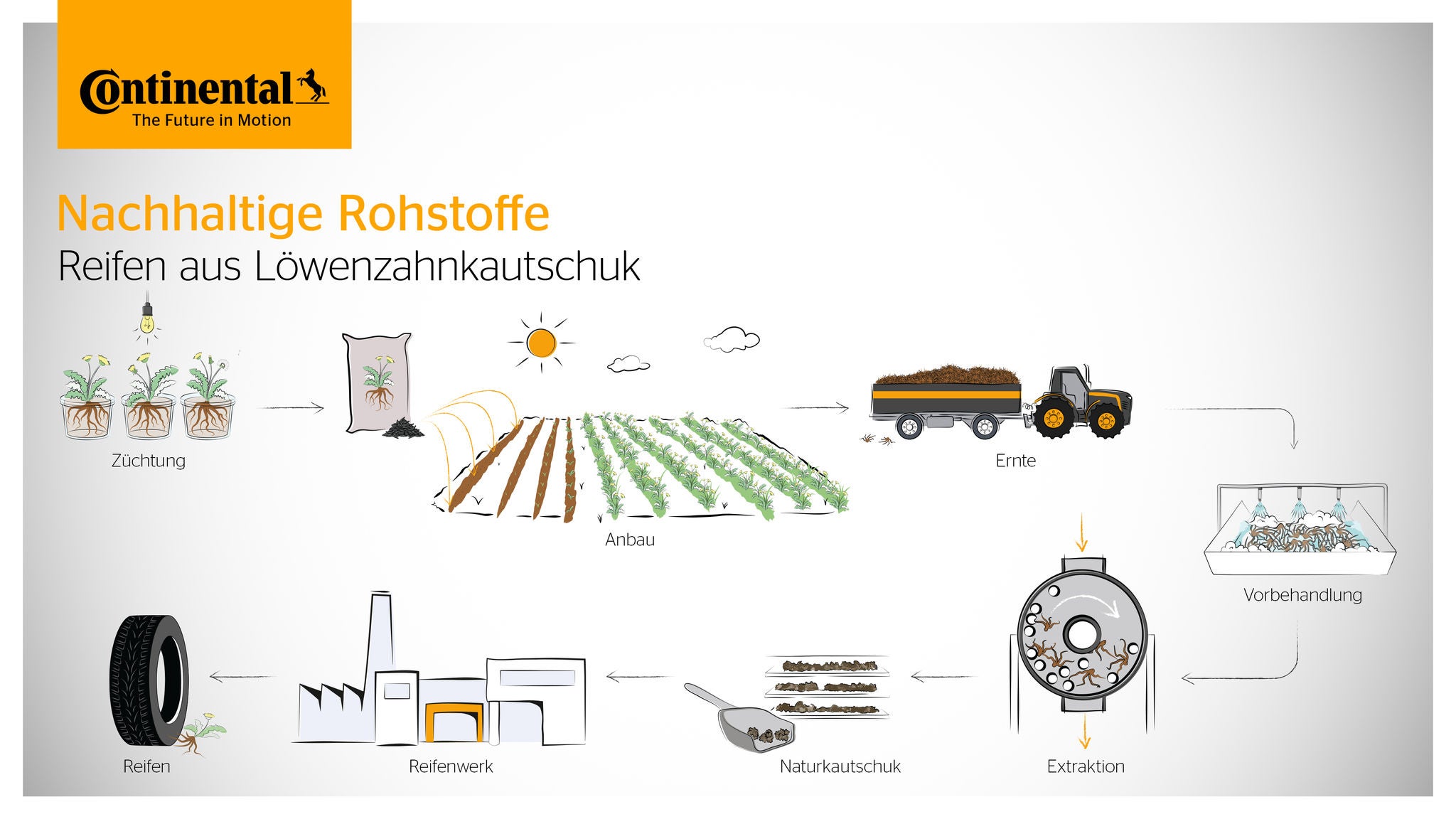 Manufacturing process of tires from natural rubber