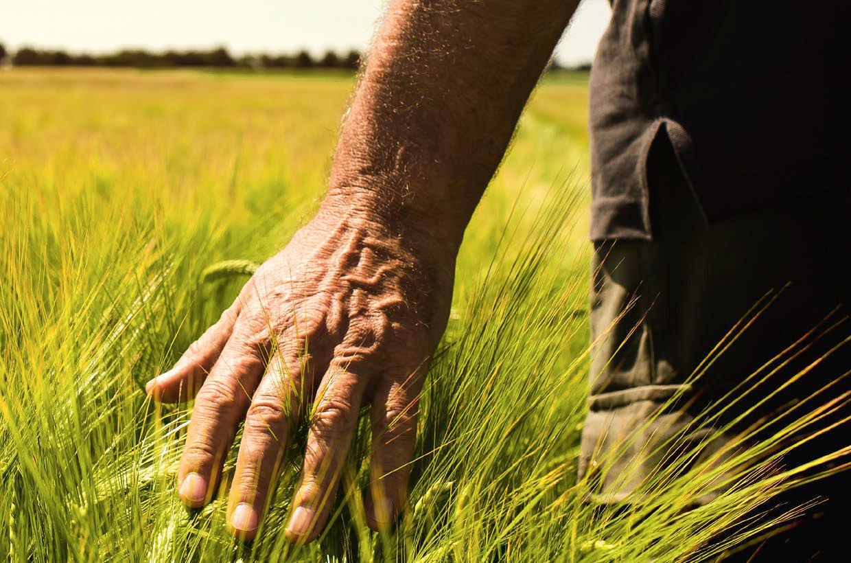 Soil provides nurture and nourishment, changing with the weather and the seasons. 