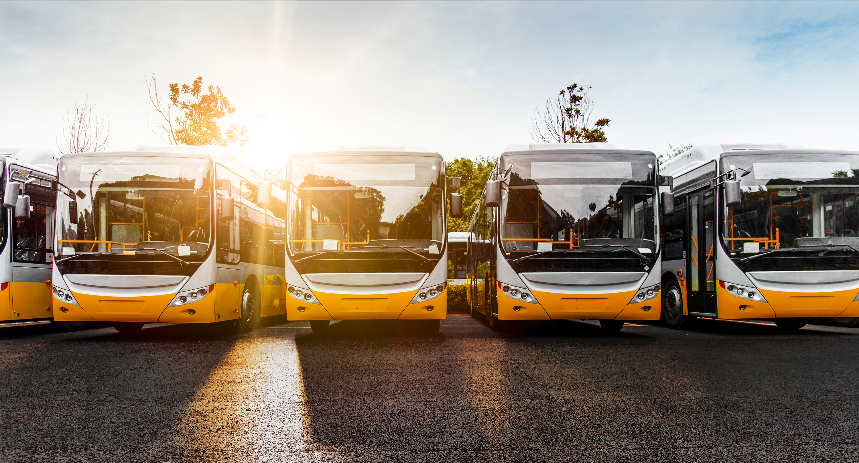 Vier gelbe Busse auf einem Parkplatz