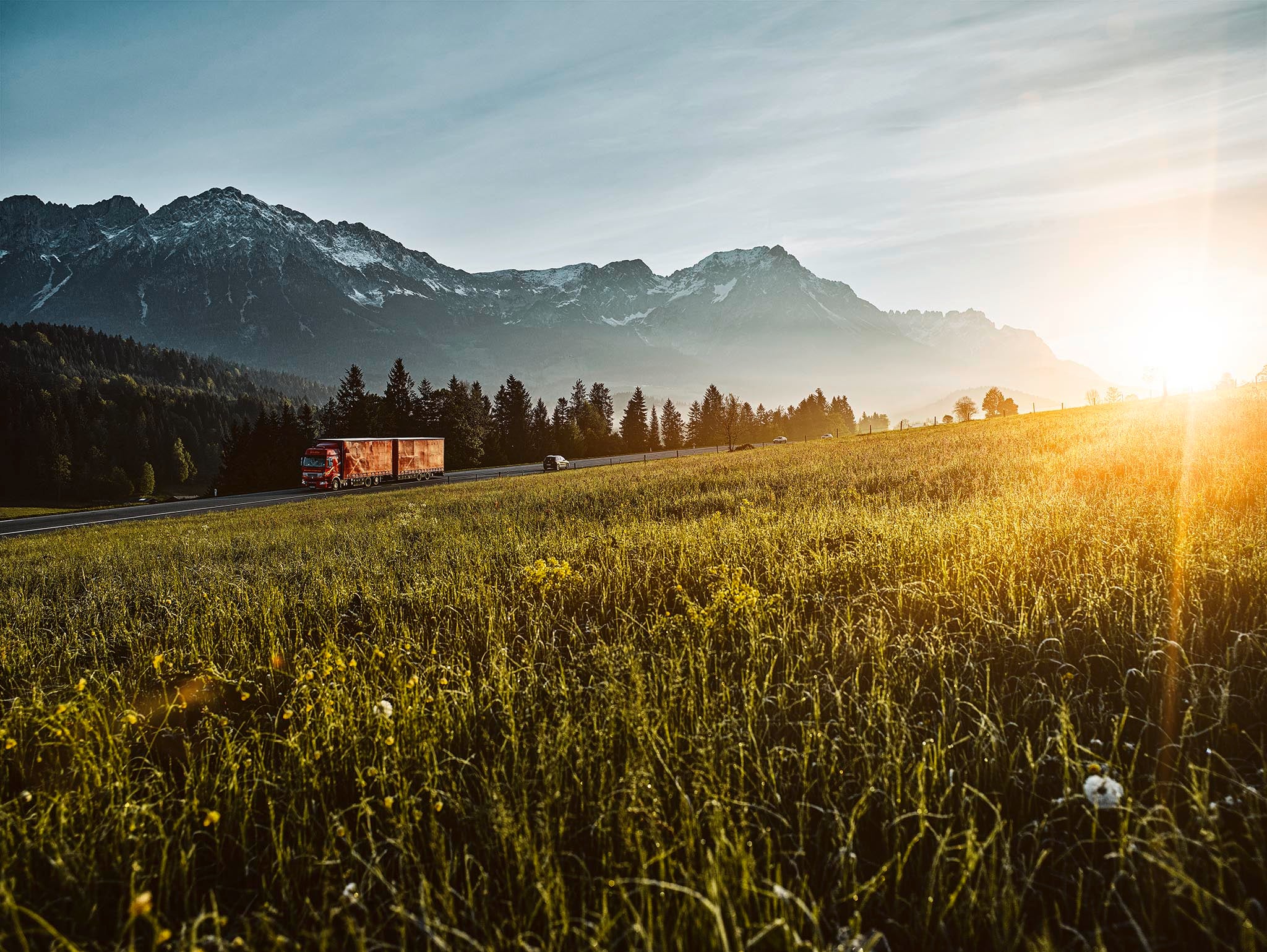 Truck on a motorway in the Mountains in front of a green field.