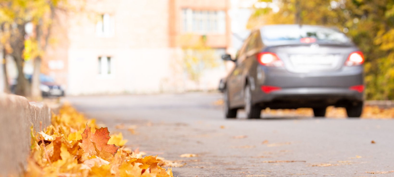 Autumn road with litter leaf along