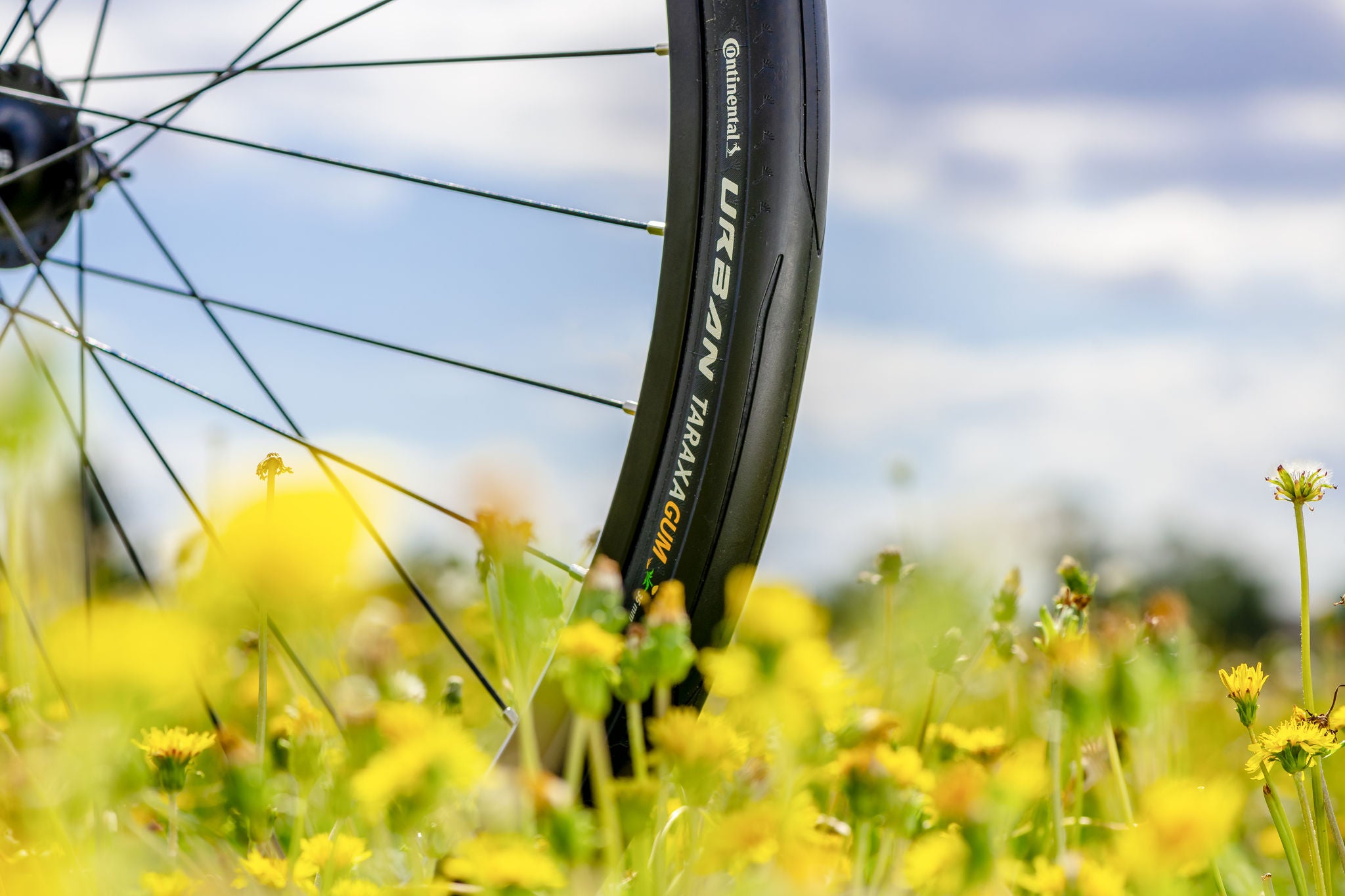 El caucho de diente de león se usa en el neumático de bicicleta Urban Taraxagum.